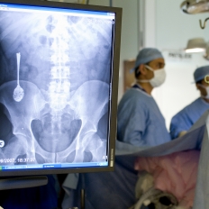 MSV1: Theoretical perspectives on performance indicators, parameters and modelling approaches to be considered during the design of healthcare facilities