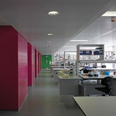 Reducing Construction Waste in Healthcare facilities: A Project Lifecycle Approach.